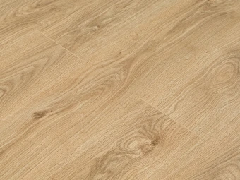 viv1233 1804