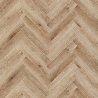 Дуб Монпелье H004