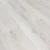 161113 Дуб Веласкес
