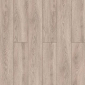59877 Дуб Ченнаи