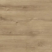 D51267  Дуб Маянга