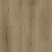 9567 Дуб Робертс