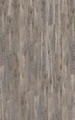 4796 Дуб горный Титан