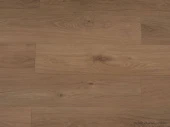 1218 Дуб Медовый