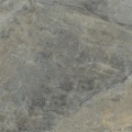 Primavera V