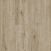 Дуб Гент LF103-14