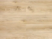 Дуб Москва А 104