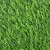 Грас / GRASS 35 мм