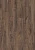 3590 Дуб таймлесс