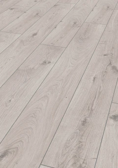 3179 Дуб Эверест белый