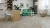 ECO 18-1 Дуб Фантазия ECO 18-1 Дуб Фантазия