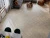 1005-401 1005-401