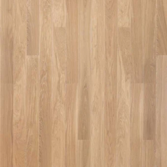  Oak Medici