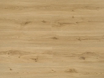 viv833 1844