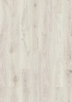 5953 Дуб Шантилли