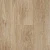 2801 Дуб Янтарный
