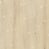 ГРАНД СЕКВОЙЯ КИПАРИСОВАЯ ECO 11-26