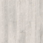 ECO134-5 ЯСЕНЬ СЕРЫЙ