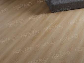 1008-6 