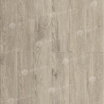 ECO 11-907 Карите