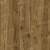 LF301-18 Дуб Корсика