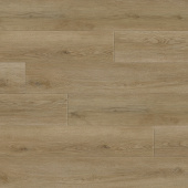 6271 Дуб Теслер