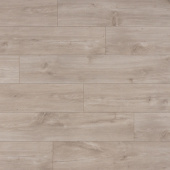 CLH 1655  Кубинский Дуб