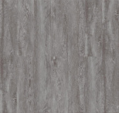 Е301 Дуб Берг 