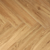 1616069 Дуб Растабан