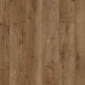 ID61 Дуб Челини