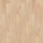 Дуб шервуд северный