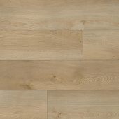 6532 Дуб Франк