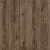 ID76 Дуб Лиотар 