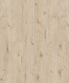 50747 Дуб Бирта