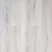 161113 Дуб Веласкес