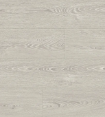 850 Дуб Солер