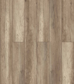 D3273 Дуб Шератан