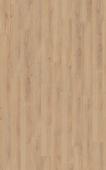 D80592 Дуб Норфолк