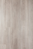 CXI149 Дуб пыльно-серый