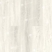 Шервудский лес ECO 9-10