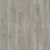 GLADIATOR - Muskat 11