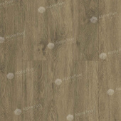 ECO 11-1102 Маслина