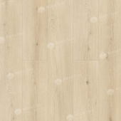 ECO 11-2602 Кипарисовая ель