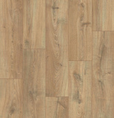 UWH 8635 Дуб древний тис