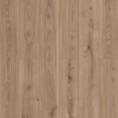 59857 Дуб Нармада