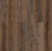 Дуб Виктория 3000