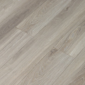 16142 Дуб Колорадо