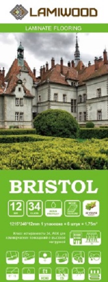 бристоль-2.jpg бристоль-2.jpg