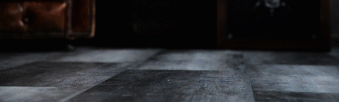 альпинфлор.gif альпинфлор.gif