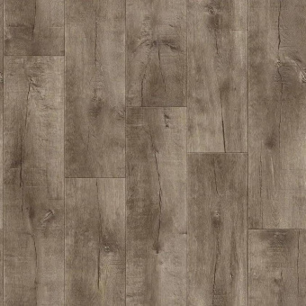 IDYLLE NOVA - Saratoga 7